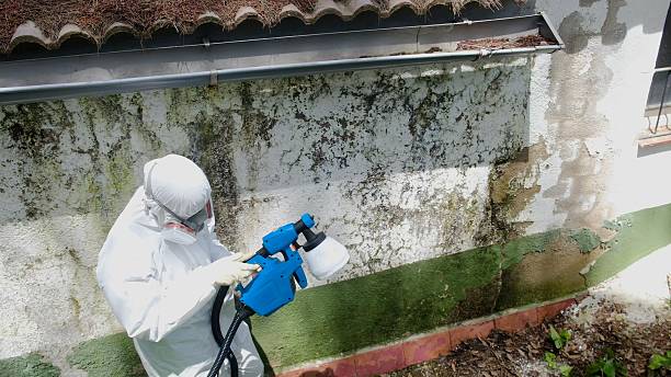 Top rated local Mold Remediation specialists in Port Royal, PA